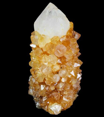 Sunshine Cactus Quartz Crystal - South Africa #80213
